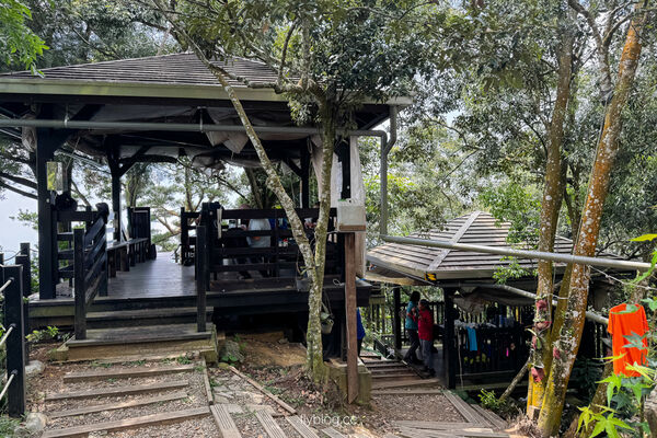 ▲▼大坑4號登山步道。（圖／飛天璇的口袋授權提供）