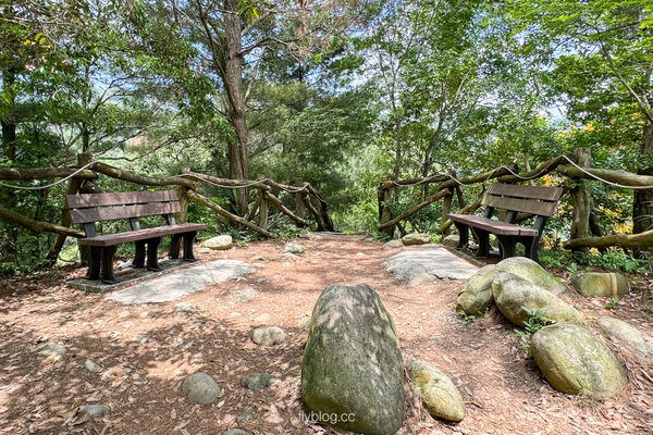 ▲▼大坑4號登山步道。（圖／飛天璇的口袋授權提供）