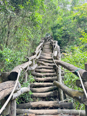 ▲▼大坑4號登山步道。（圖／飛天璇的口袋授權提供）