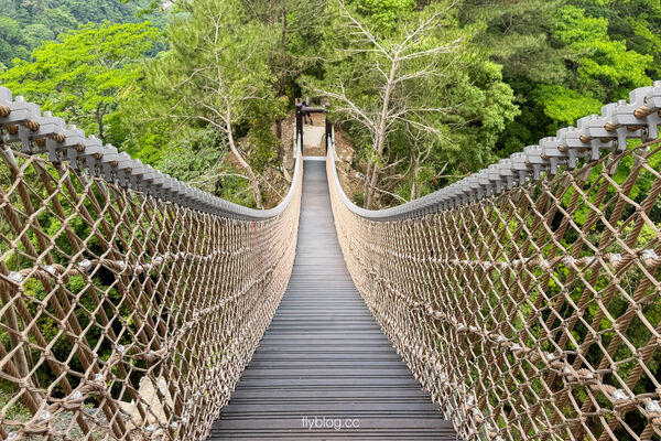 ▲▼大坑4號登山步道。（圖／飛天璇的口袋授權提供）