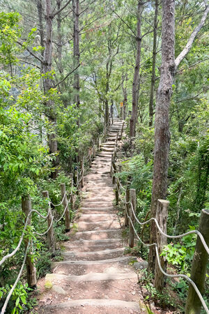 ▲▼大坑4號登山步道。（圖／飛天璇的口袋授權提供）