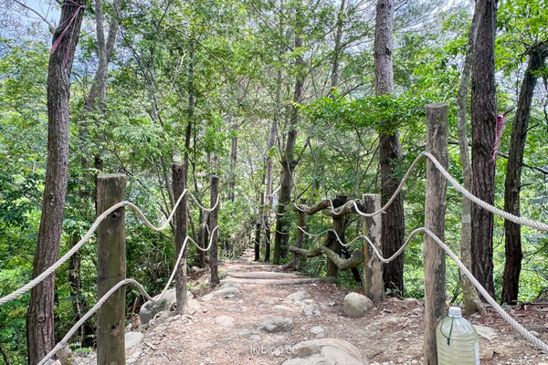 ▲▼大坑4號登山步道。（圖／飛天璇的口袋授權提供）