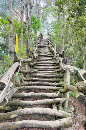 ▲▼大坑4號登山步道。（圖／飛天璇的口袋授權提供）