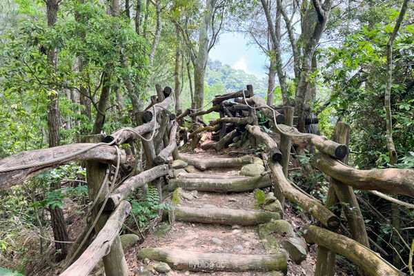 ▲▼大坑4號登山步道。（圖／飛天璇的口袋授權提供）