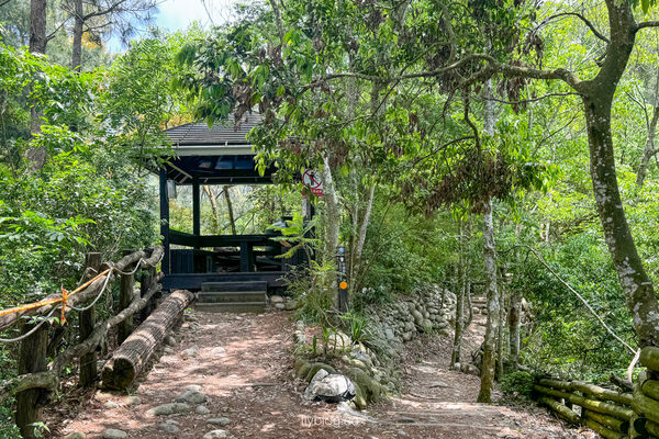 ▲▼大坑4號登山步道。（圖／飛天璇的口袋授權提供）