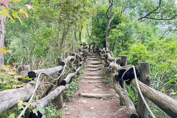 ▲▼大坑4號登山步道。（圖／飛天璇的口袋授權提供）