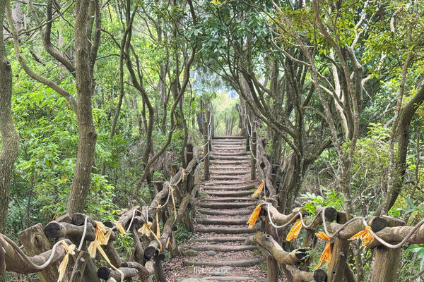 ▲▼大坑4號登山步道。（圖／飛天璇的口袋授權提供）