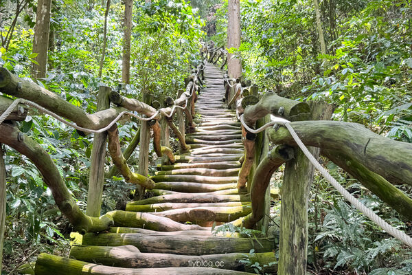 ▲▼大坑4號登山步道。（圖／飛天璇的口袋授權提供）