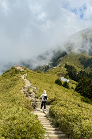 ▲▼合歡山石門山登山步道。（圖／飛天璇的口袋授權提供）