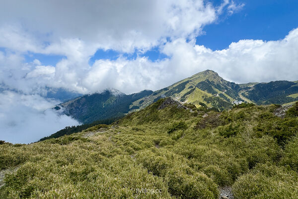 ▲▼合歡山石門山登山步道。（圖／飛天璇的口袋授權提供）