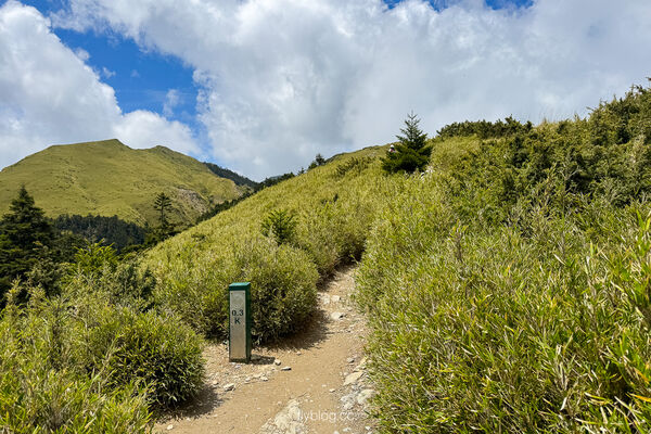 ▲▼合歡山石門山登山步道。（圖／飛天璇的口袋授權提供）