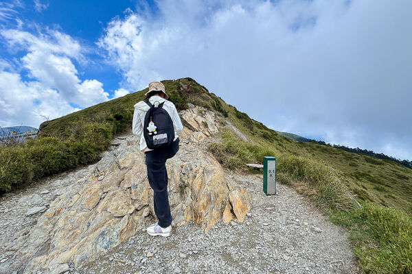 ▲▼合歡山石門山登山步道。（圖／飛天璇的口袋授權提供）
