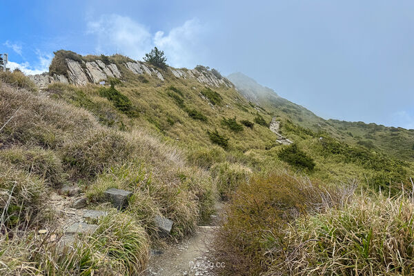 ▲▼合歡山石門山登山步道。（圖／飛天璇的口袋授權提供）