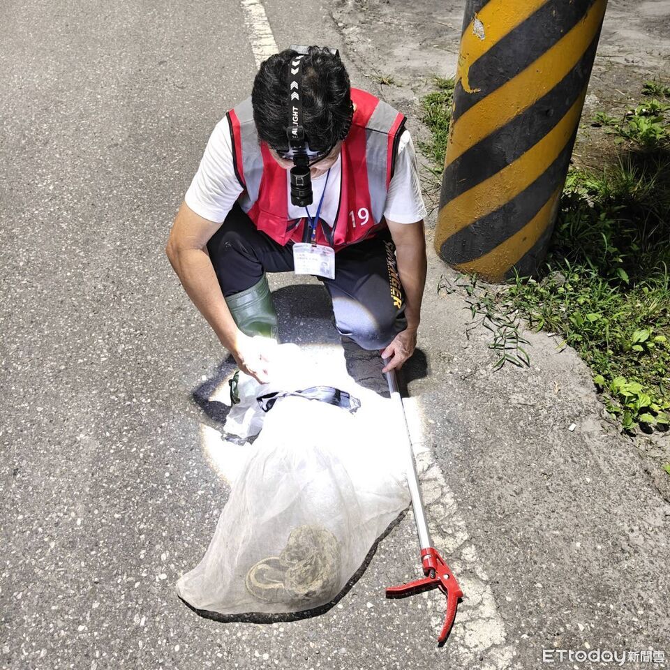 花蓮捕蜂捉蛇委外執行!民眾仍可撥打119 案件處理不漏接