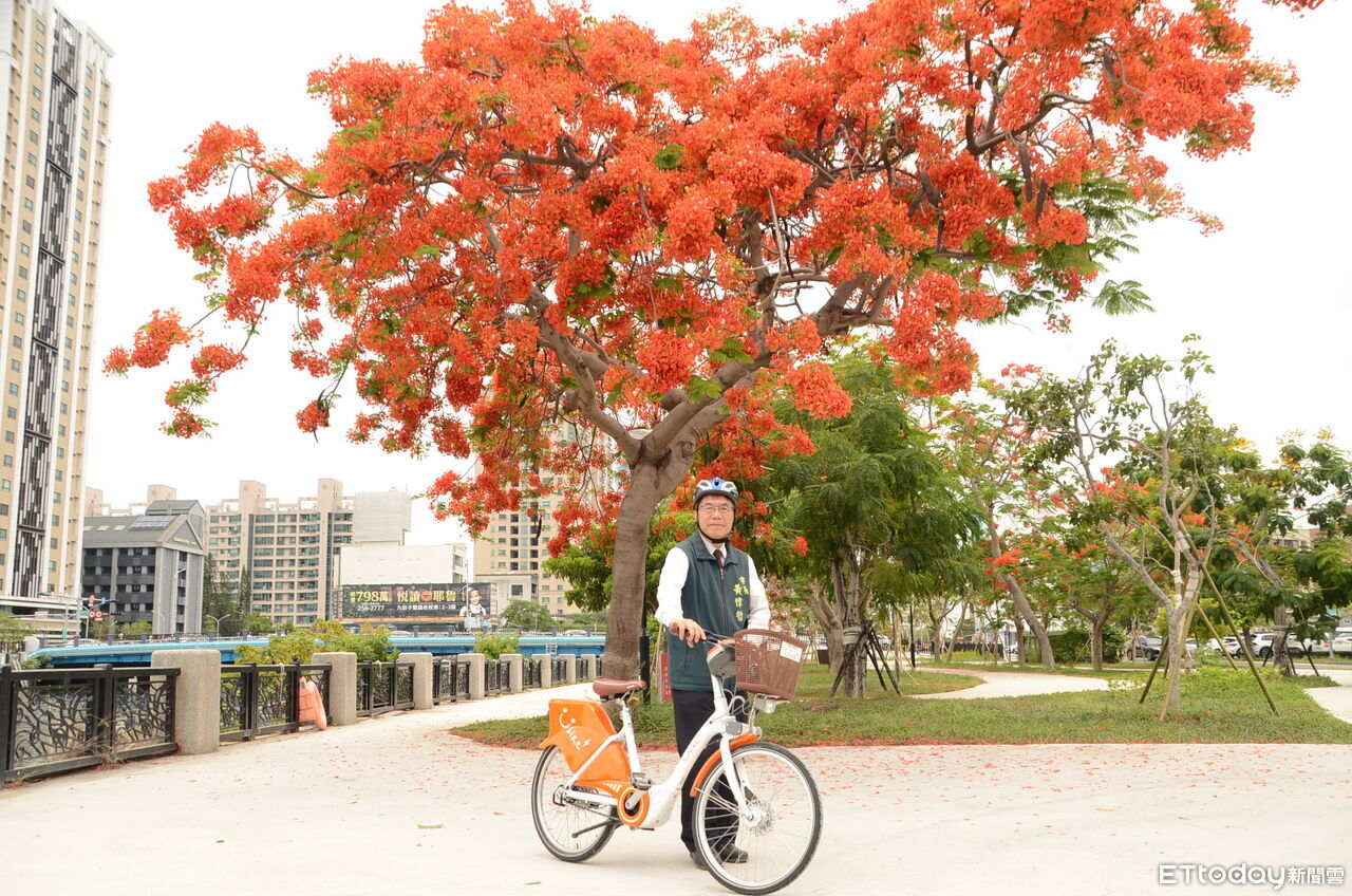 黃偉哲騎YouBike漫遊安平運河 邀民眾賞鳳凰花低碳小旅行