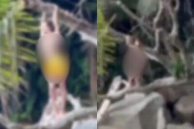 辣妹「海邊上空照」曝!半裸露點大膽擺拍 泰網友暴怒