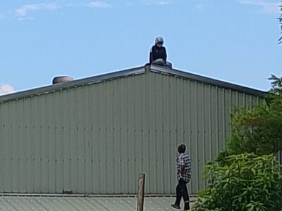 偷壯圍哈密瓜！逃逸女移工被圍捕　爬鐵皮屋頂與警對峙1小時