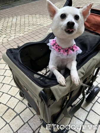▲。（圖／有點毛毛的／鄢妮提供）