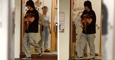 游鴻明違停接狗！　188公分身高「緊抱超萌小杜賓」滿眼寵溺