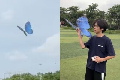 陸男大生賣「手工蝴蝶」單個7千元　婚慶公司搶買3個月賺138萬