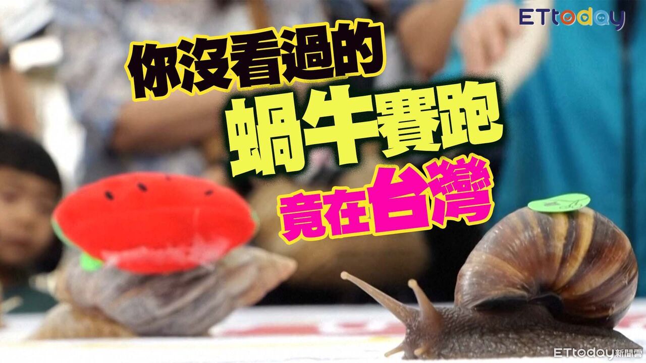 極速33公分 匪夷所思蝸牛賽跑竟在台灣