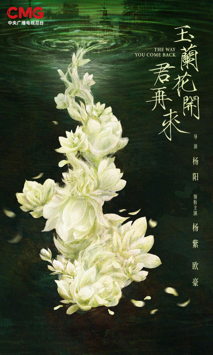 ▲▼林志玲客串陸劇名字被消失！拍2天驚傳「戲份全刪」。（圖／翻攝自微博）