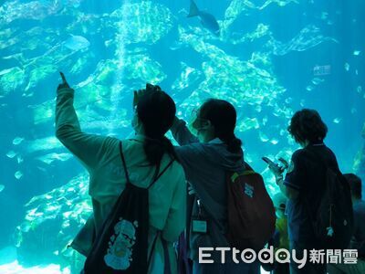 海洋療癒心中的痛！士林犯保攜手士檢　陪馨生家庭享歡樂時光