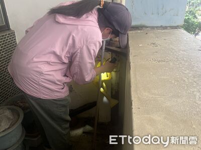 本土登革熱現蹤高雄！前鎮警戒區捕獲46隻成蚊　社區面臨疫情爆發