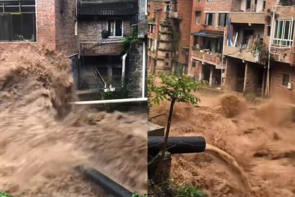 重慶永川暴雨已「釀9死11失聯」 有村民「抱樹12小時」得以獲救