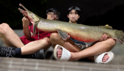 累犯！吃掉228公園老魚　是成大釣魚社「創始社長」：這樣才有流量