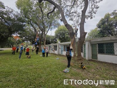 從不敢離地到勇敢攻頂 矽品陪20名家扶兒攀樹突破自我