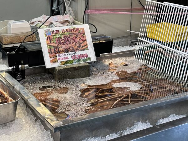 ▲▼山芳亭。（圖／小虎食夢網授權提供）