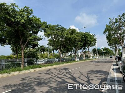 台中49條綠園道自帶身價 最新一條房價站上6字頭