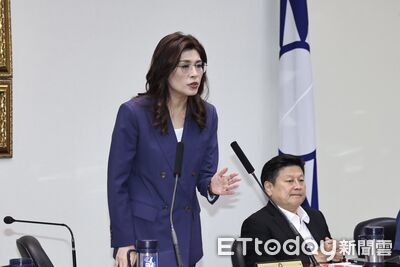 鄭麗文訪美行程不順牽拖僑委會 民進黨批莫名其妙:自己行程自己排