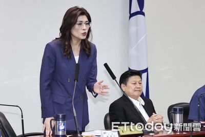 鄭麗文：民進黨追殺、刨掉黨產命根　恨不得國民黨下秒就從地表消失
