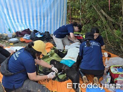 台東美農淺山區台灣黑熊受困陷阱　19人救援送動物醫院