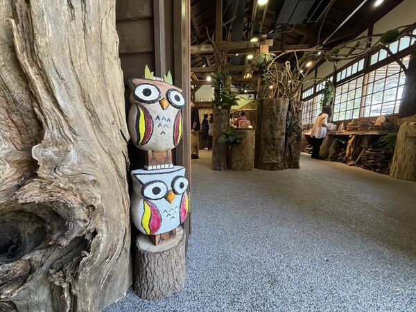 ▲羅東林業文化園區北側貯木池畔的日式建築空間「湖畔森林」館，今（27日）正式開幕。（圖／林業及自然保育署宜蘭分署提供）