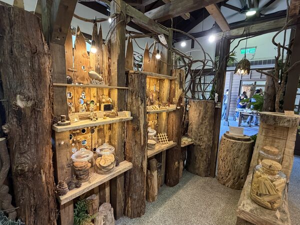 ▲羅東林業文化園區北側貯木池畔的日式建築空間「湖畔森林」館，今（27日）正式開幕。（圖／林業及自然保育署宜蘭分署提供）