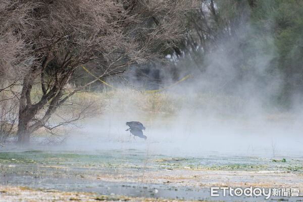 ▲▼紐西蘭北島秋天,秋景,Kuirau地熱公園。（圖／記者彭懷玉攝）