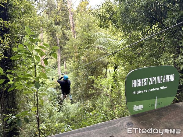 ▲Rotorua Canopy Tours（Zipline into an Ancient Forest）,Canopy Tours高空滑索,Canopy Tours樹冠滑索。（圖／記者彭懷玉攝）