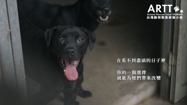 ▲▼台灣動物緊急救援小組與統一超商攜手推動「愛心集糧」活動。（圖／台灣動物緊急救援小組）