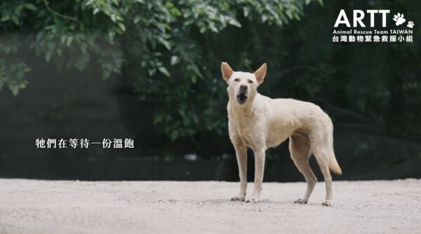 ▲▼台灣動物緊急救援小組與統一超商攜手推動「愛心集糧」活動。（圖／台灣動物緊急救援小組）