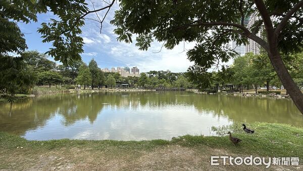 ▲▼   凹子底森林公園          。（圖／記者張雅雲攝）