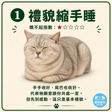 奴才接招！網瘋傳「貓咪睡姿圖鑑」 看主子今天有多瞧不起你。（圖／東森寵物提供）