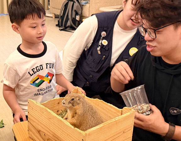 ▲煙波新竹湖濱館攜手「蝌蚪池塘自然文創」，即日起至9月13日推出「動物超能生存秘技・零距離生態住房專案」。（圖／煙波國際觀光集團提供）
