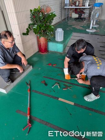 ▲▼  天氣酷熱蛇類亂闖！劇毒雨傘節「卡關」排水孔 嘉市專人24小時急救援  。（圖／鄭榮貴提供）