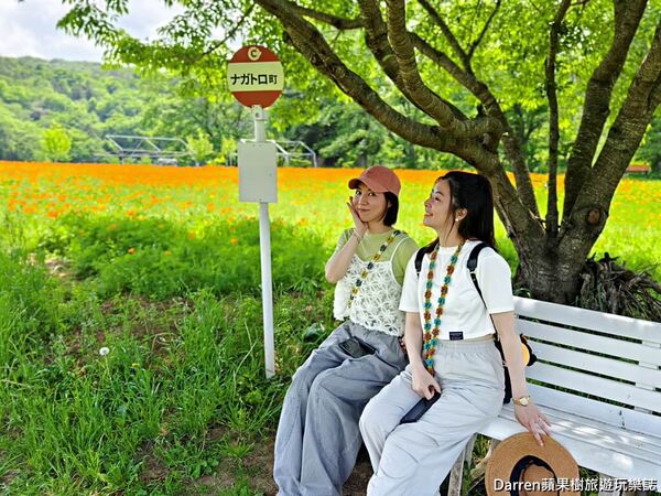 ▲▼長瀞花の里。（圖／部落客DARREN蘋果樹旅遊玩樂誌授權提供）