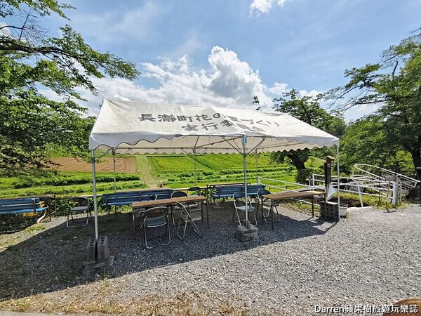 ▲▼長瀞花の里。（圖／部落客DARREN蘋果樹旅遊玩樂誌授權提供）