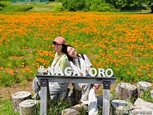 ▲▼長瀞花の里。（圖／部落客DARREN蘋果樹旅遊玩樂誌授權提供）