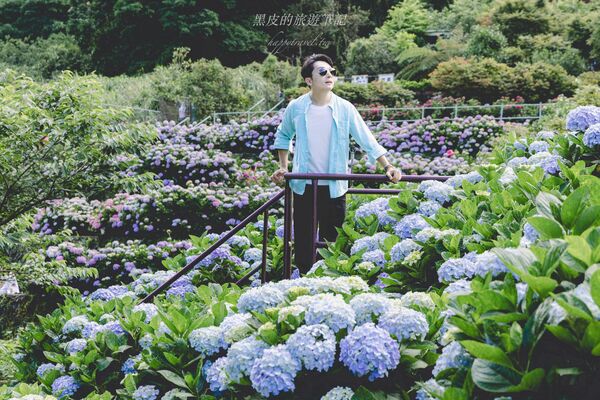 ▲▼曹家花田香。（圖／部落客黑皮的旅遊筆記授權提供）
